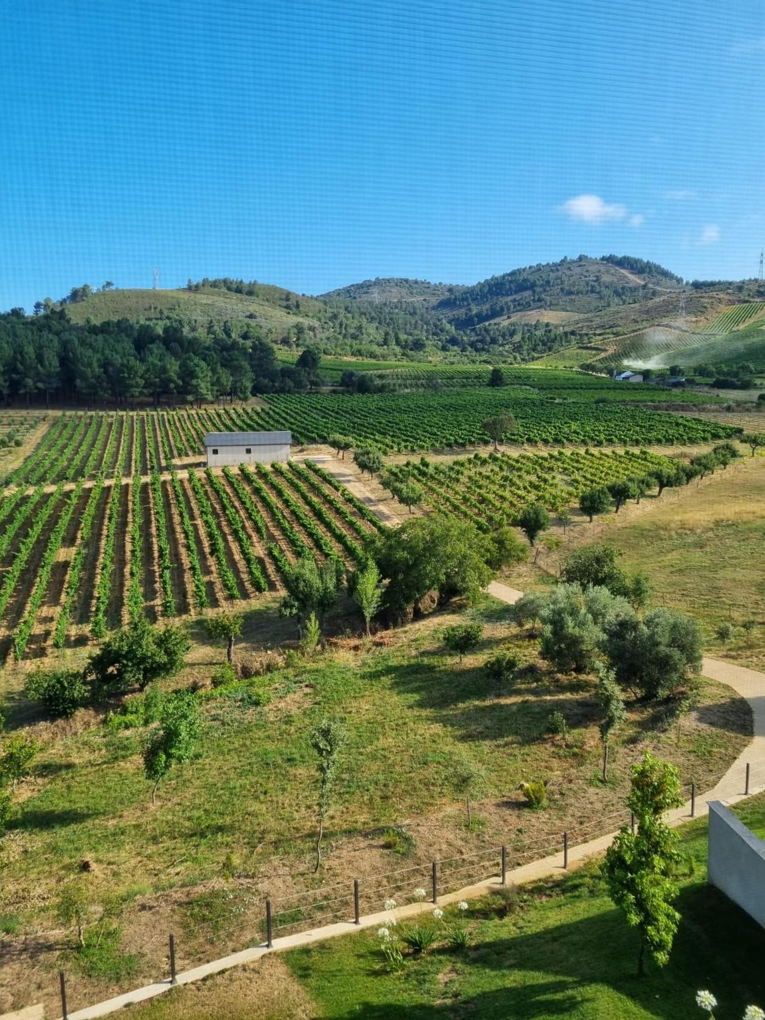 Boutique Finca Esencial Вільяфранка-дель-Б'єрсо Екстер'єр фото